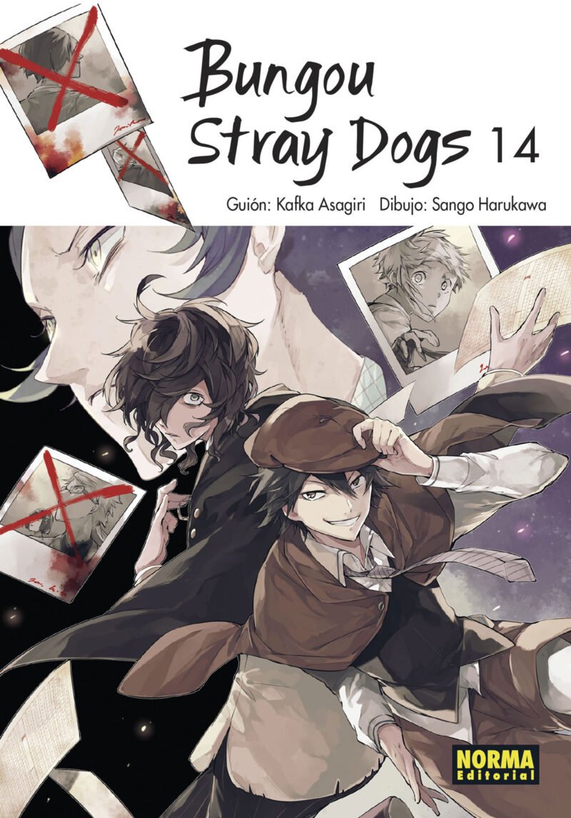 Bungou Stray Dogs 14, portada