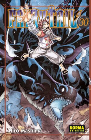 Fairy Tail 30, portada