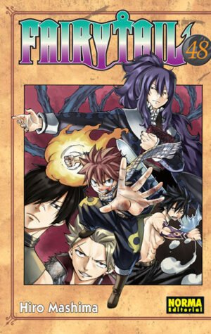 Fairy Tail 48, portada